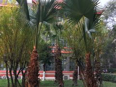 -四川大学(华西校区)