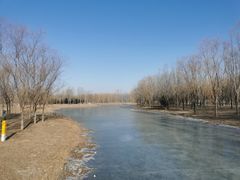 -东郊湿地公园