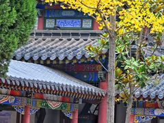 -兴教寺