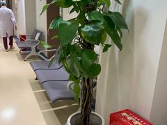 -北京地坛口腔门诊部