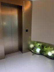 -美莱医疗美容医院