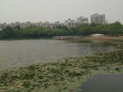 -新江湾城公园
