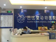 -芭比堂动物医院·24小时·眼科中心(深圳中心)