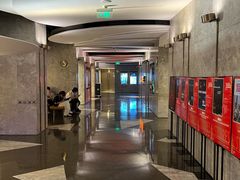 -百美汇影城(LUXE嘉里中心店)