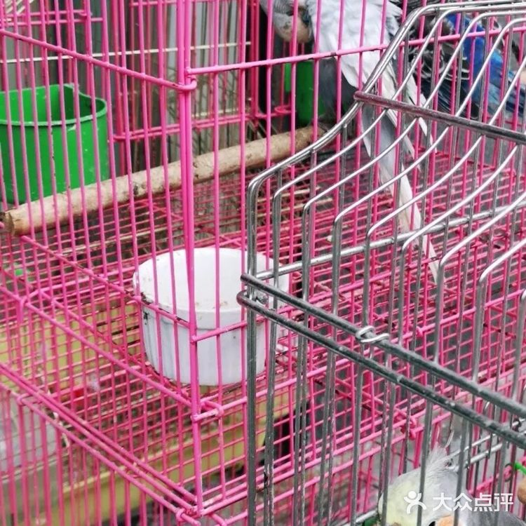 带孩子来南京亲子宠物乐园和萌宠互动吧！