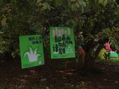 -杭州植物园