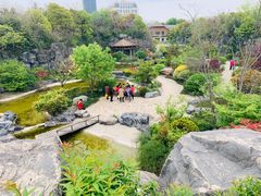 -上海吴淞炮台湾国家湿地公园
