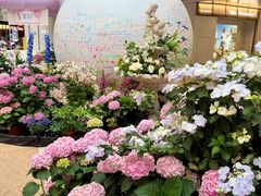 -上海长风大悦城