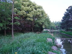 -东方绿舟景区
