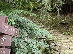 -雁荡山三折瀑景区