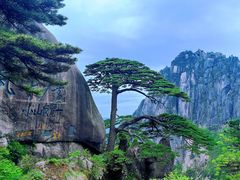 -黄山风景区