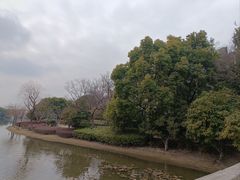 -南翔镇银翔湖公园