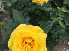 -人民公园(罗湖区)