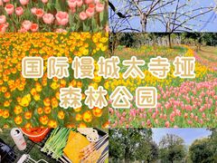 -南山植物园