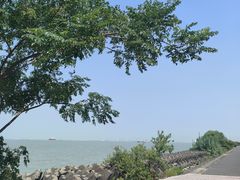 -上海滨江森林公园