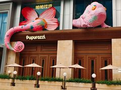 -帕帕拉兹宠物(亚洲旗舰店)