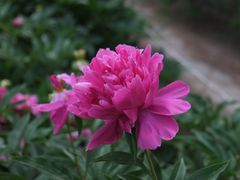 -国家植物园南园
