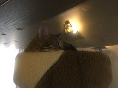 -Me Coffee下午茶艺术空间