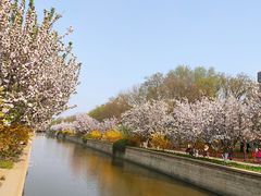 -海棠花溪(元大都城垣遗址公园)