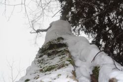 -大秃顶子山