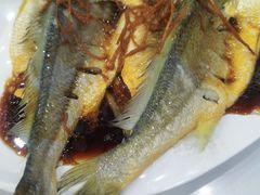 -必点蒸汽海鲜(止锚湾店)