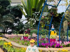 -石家庄市植物园
