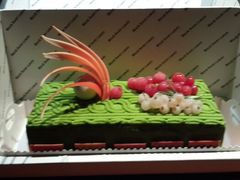 android_upload_pic-BLACKSWAN黑天鹅(环球店)