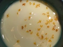 桂花酸奶-烤匠麻辣烤鱼(环球中心店)