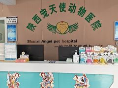 -天使宠物医院·犬猫分诊(彩虹店)