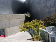 -东大门市场