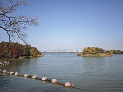 -长广溪湿地公园