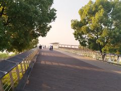 -南京眼步行桥