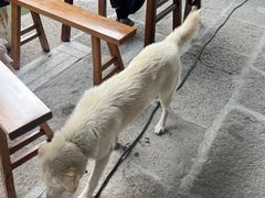 -孝店王酒酿馒头(安昌1店)