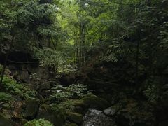 -藏龙百瀑风景区