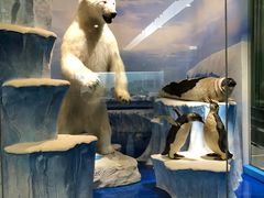 -国家自然博物馆