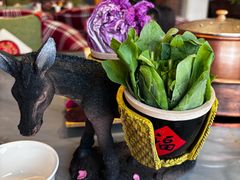 -慢丽江·云南野生菌土鸡锅(付家庄店)