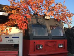 -Blue Concept Cafe&Farm·關於藍