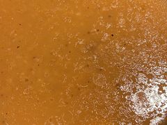 -老伙记海鲜码头(北滘店)