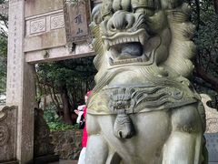 -普陀山风景区-佛顶山