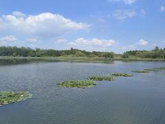 -溱湖国家湿地公园