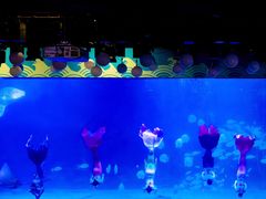 -烟台海昌鲸鲨海洋公园