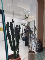 -DL HOPE明星造型