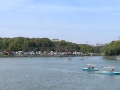 -昆山城市生态森林公园