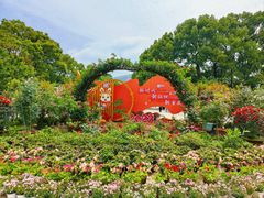 -南山植物园