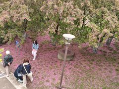 -元大都城垣遗址公园