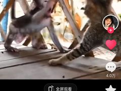-昆明动物园