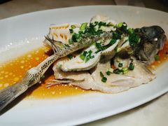 油淋鲈鱼-新发现(苏州中心商场店)