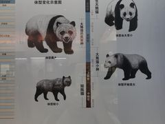 -柳州白莲洞洞穴科学博物馆