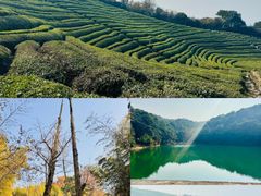 -东钱湖旅游度假区