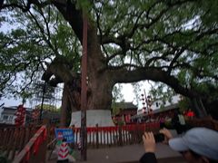 -新安江山水画廊风景区